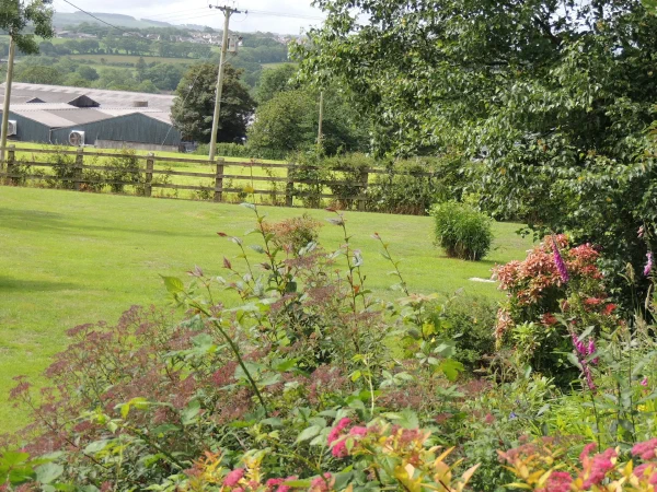 garden-10.webp