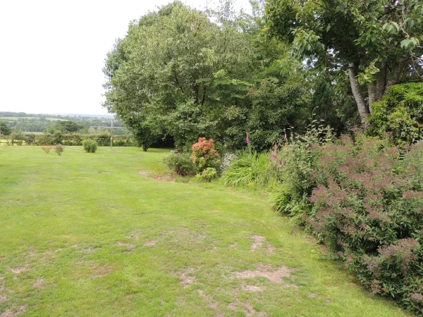 garden-1.webp
