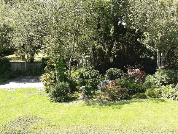 garden-8.webp